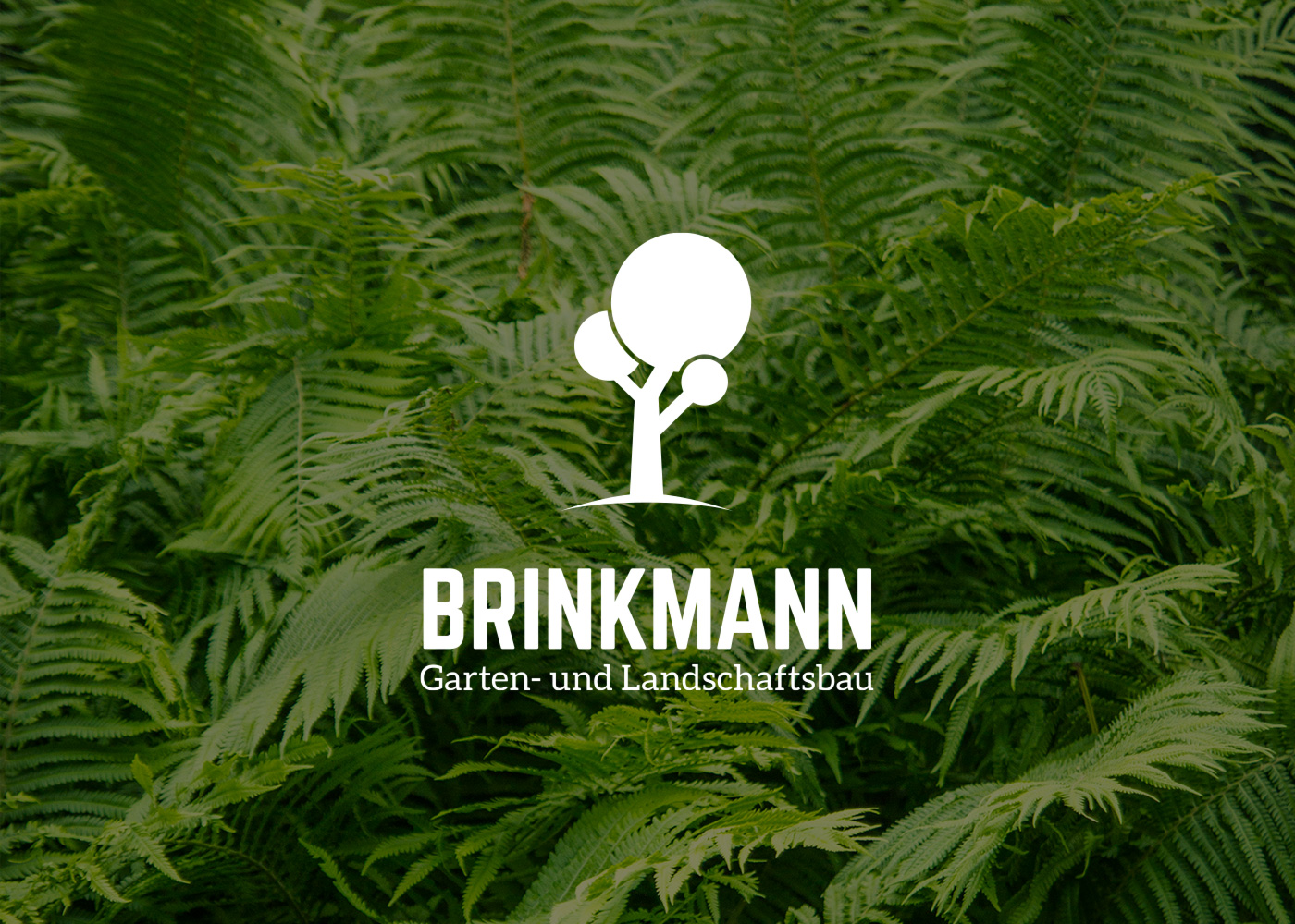 Portfolio Brinkmann